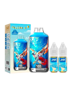 POD RECHARGEABLE - FALCON X 2800 JNR - BLUEBERRY POMEGRANATE ICE