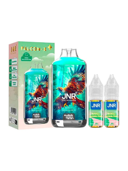 POD RECHARGEABLE - FALCON X 2800 JNR - MANGO PASSION FRUIT