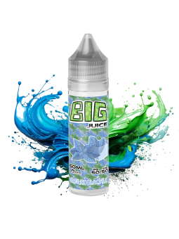 E-LIQUIDE 50ML MENTHE GLACIALE - BIG-JUICE