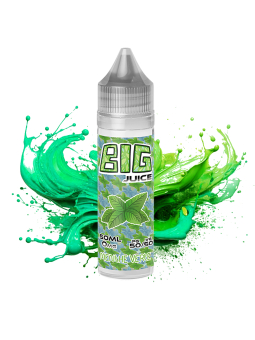E-LIQUIDE 50ML MENTHE VERTE - BIG-JUICE
