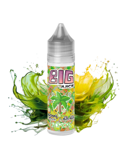 E-LIQUIDE 50ML TROPICAL - BIG-JUICE