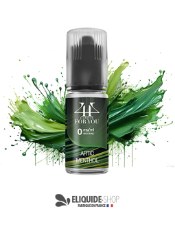E-liquide Arctic Menthol 4YOU 10 ml fraîcheur polaire intense vapoteuse pas cher